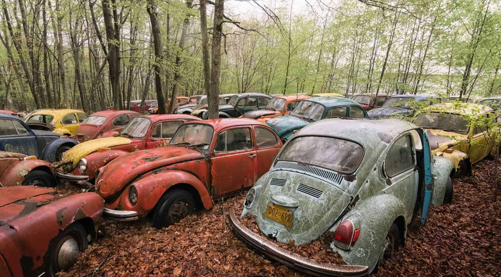 Abandoned VW Beetle Car Graveyard, USA