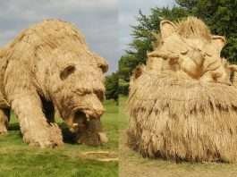 Amazing Giant Straw Sculptures At The Wara Art Festival In Japan
