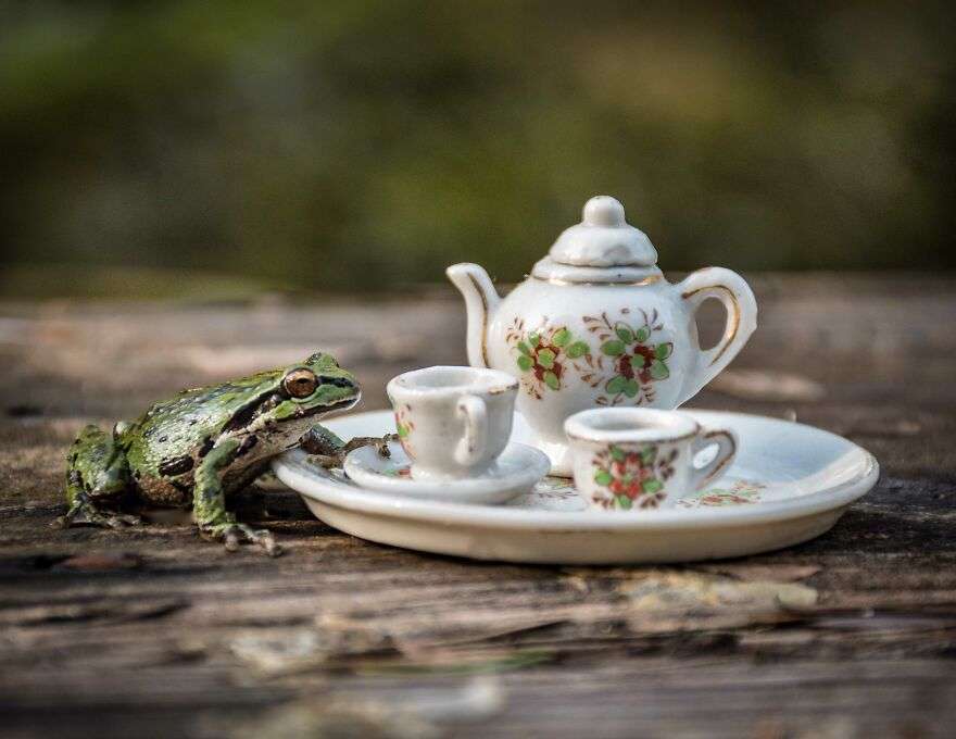 Jay Rainey Enjoys Having Magical Tea Parties With Forest Friends