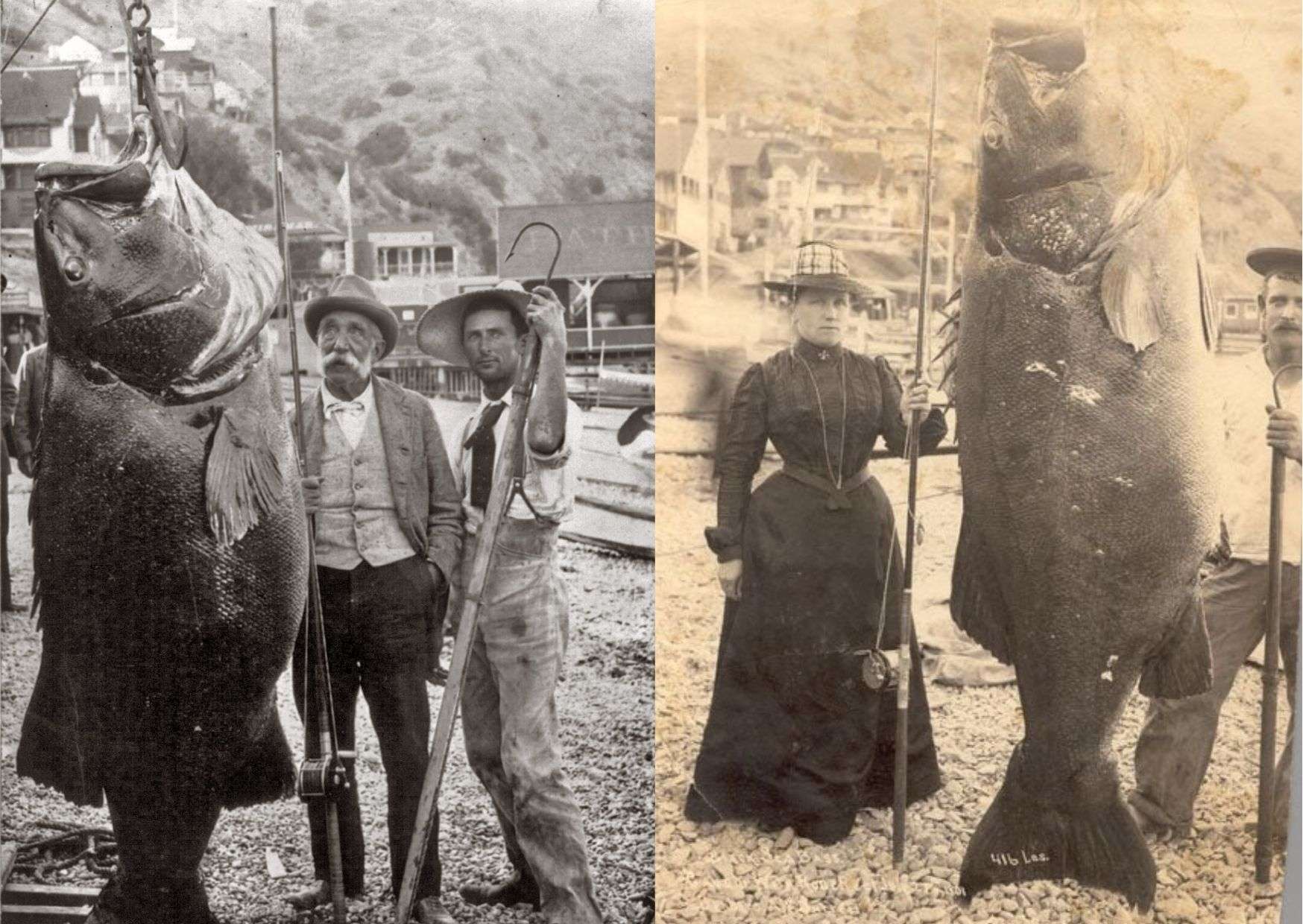 Interesting Photos Of Fishermen With Their Big Fish Catches In The Past