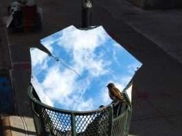 Photographer Eric Kogan Captures The Magical Moments On The Streets Of New York City