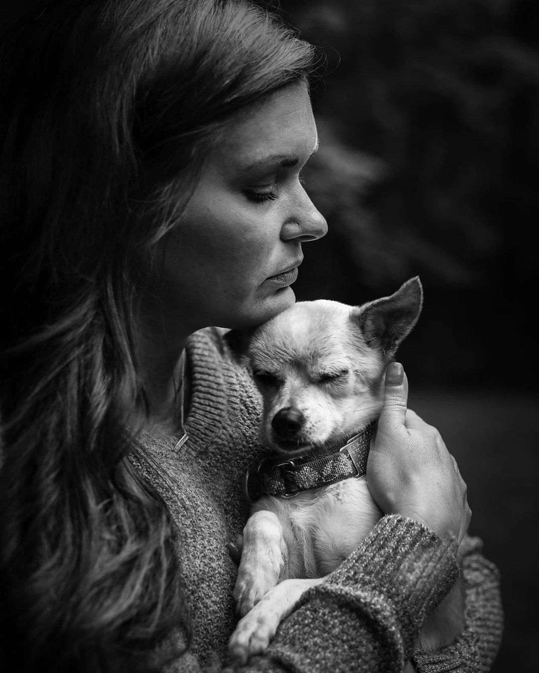 Portland Photographer Shares Heartbreaking Photos Of Owners Saying Good Bye To Their Beloved Pets