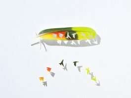 Artist Cuts Out Bird-Inspired Art From Real-Life Feathers