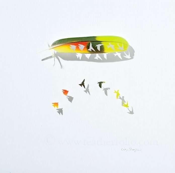Artist Cuts Out Bird-Inspired Art From Real-Life Feathers Artist Cuts Out Bird-Inspired Art From Real-Life Feathers