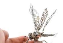 Clock And Glass Repairman Creates Incredible Animal Sculptures From Spare Parts Clock And Glass Repairman Creates Incredible Animal Sculptures From Spare Parts