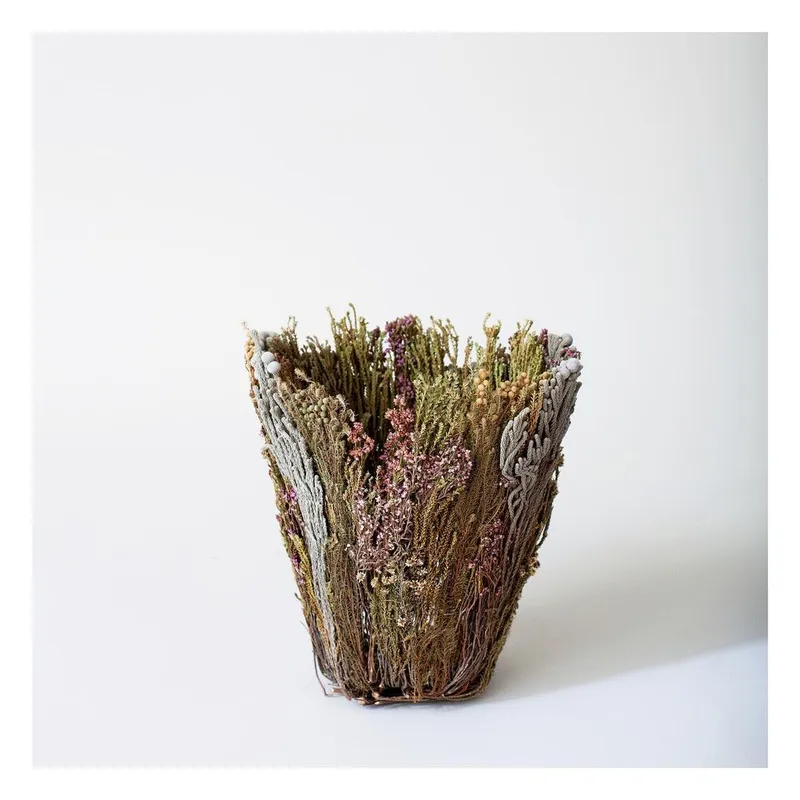 Mystifying plant vases