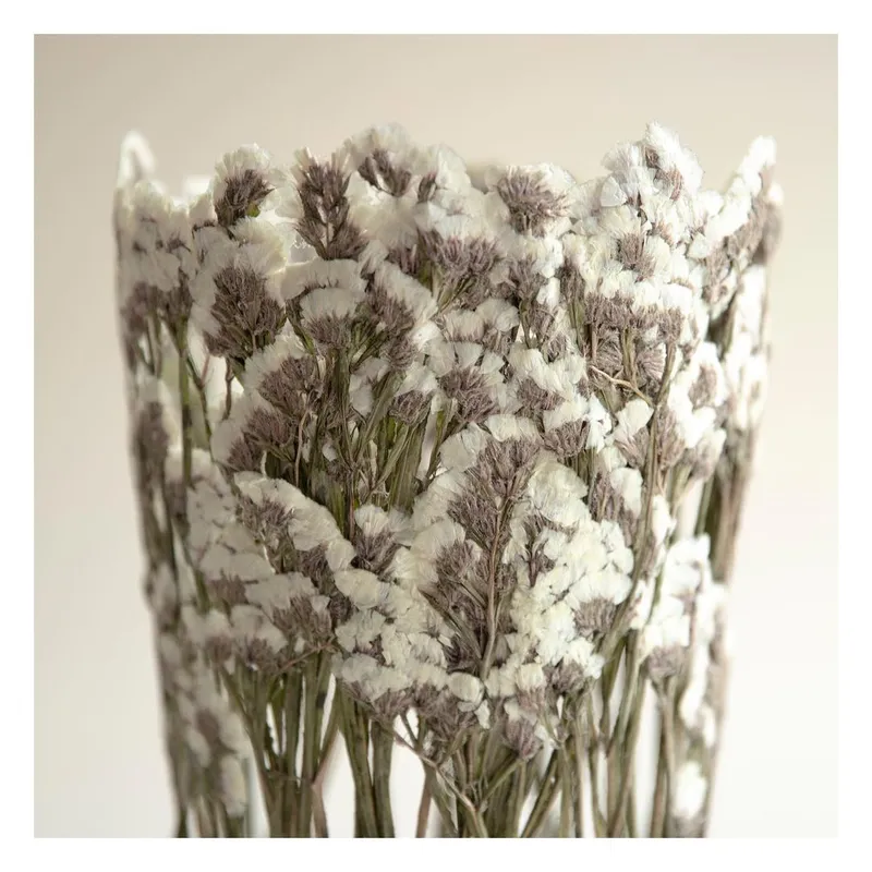 Nature-inspired vase designs