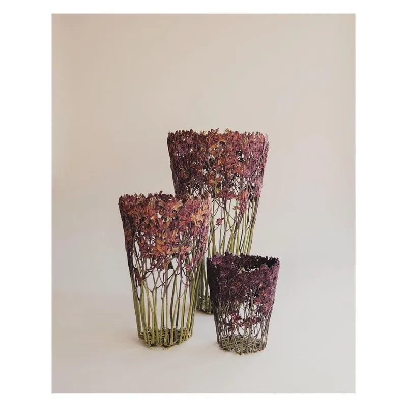 Enigmatic botanical vases