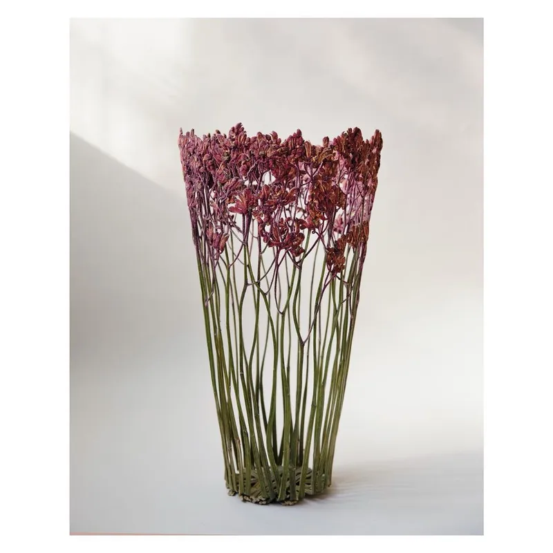 Magical botanical vessels