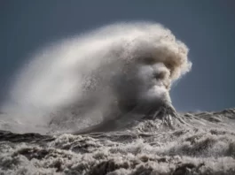 Photographer Captures Poseidon’s Face In A Crashing Wave