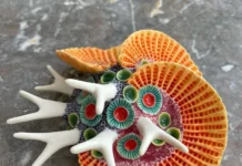Ceramic Artist Lisa Stevens Sculpts the Beauty of Aquatic Life Lisa Stevens Sculpts the Beauty of Aquatic Life