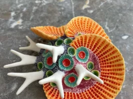 Lisa Stevens Sculpts the Beauty of Aquatic Life