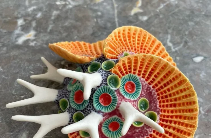 Lisa Stevens Sculpts the Beauty of Aquatic Life