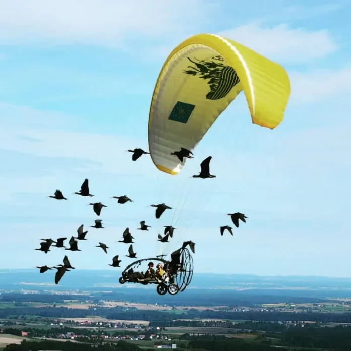 Austrian biologist named Johannes Fritz Has Been Helping Northern Bald Ibises