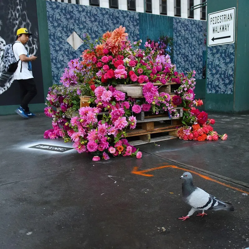 Polychromatic Floral Art