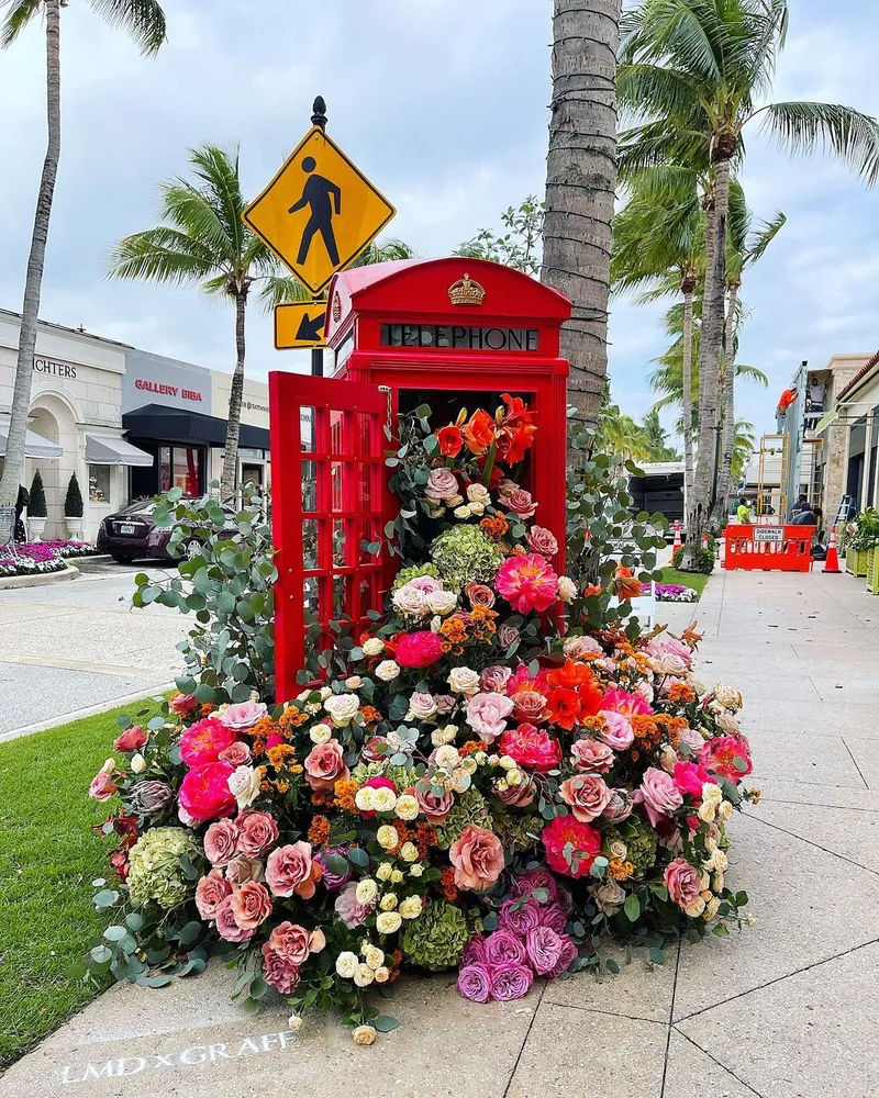 Varied Flower Compositions