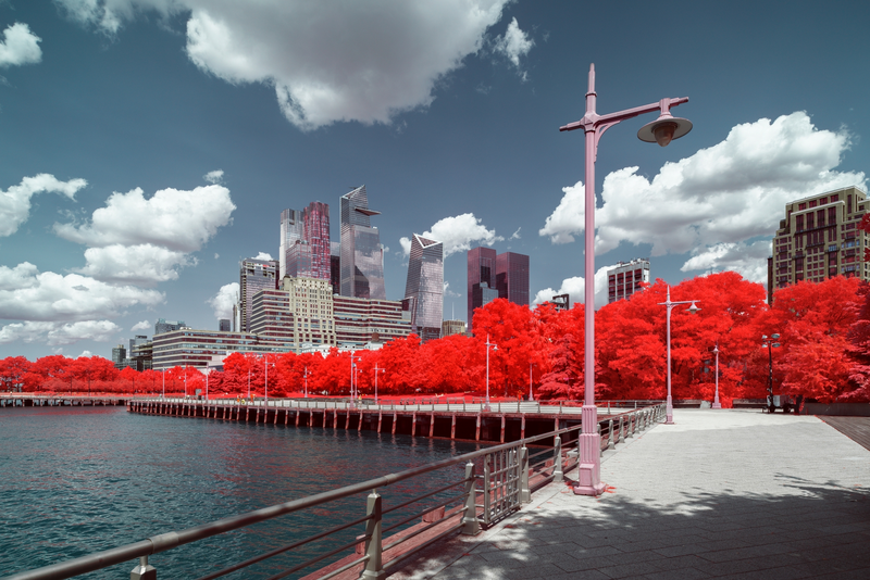 Enchanting Infrared Landscapes of New York