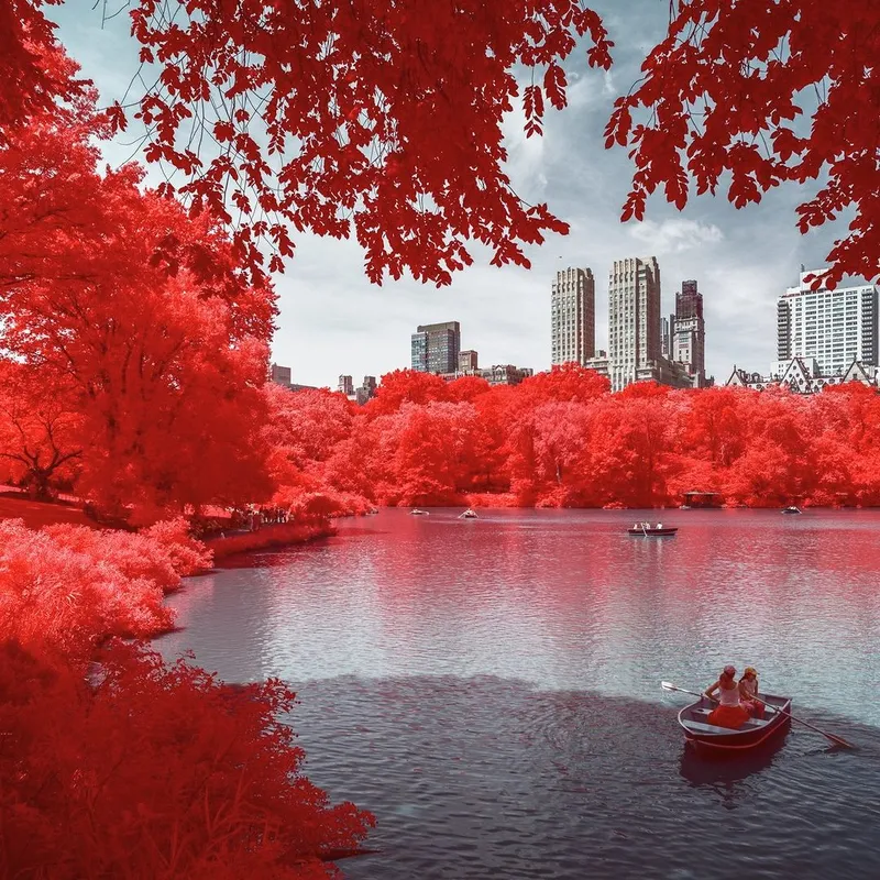 Ethereal Infrared Scenes from NYC