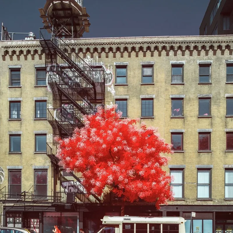 New York City Through Infrared Lens