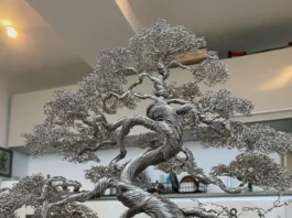 A UK-based Artist Creates Bonsai Tree Sculptures Using Metal Wires