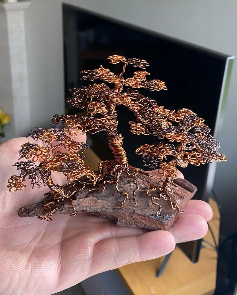 Manchester Artist's Bonsai