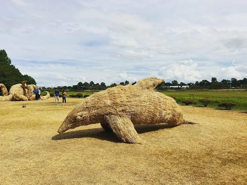 Wara Art Installation