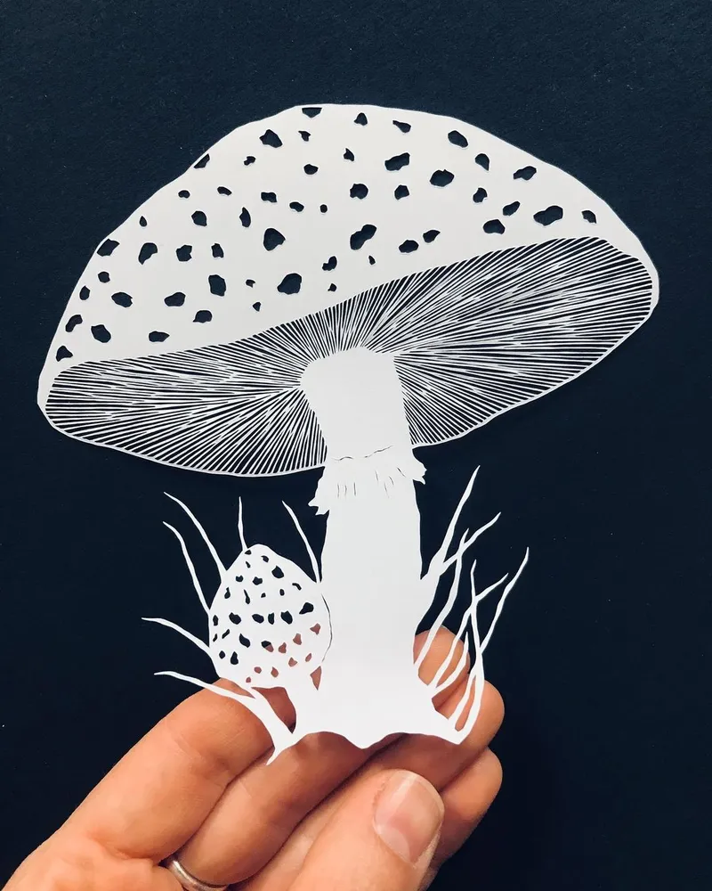 Exquisite Paper Cutouts Reveal The Delicacy And Durability Of Papers