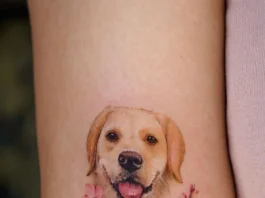 A Korean Tattoo Artist Creates Fantastic Nature and Animal Tattoos