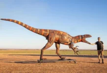 An Australian Sculptor Creates Realistic Animal Sculptures Using Waste Metal An Australian Sculptor Creates Realistic Animal Sculptures Using Waste Metal