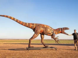 An Australian Sculptor Creates Realistic Animal Sculptures Using Waste Metal
