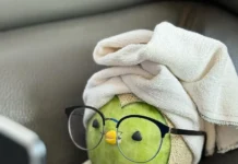 Cute Food Art Makes You Enjoy Than Actually Eating Them Cute Food Art Makes You Enjoy Than Actually Eating Them