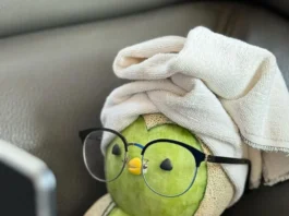 Cute Food Art Makes You Enjoy Than Actually Eating Them Cute Food Art Makes You Enjoy Than Actually Eating Them