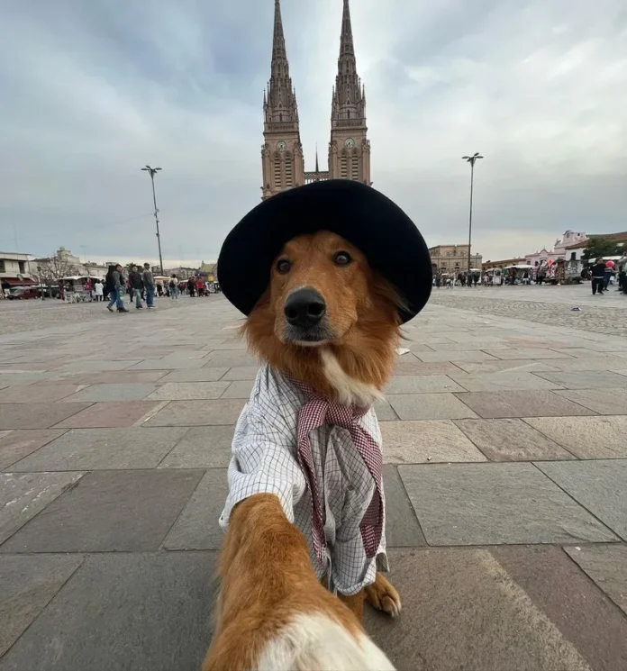 A Dog Named Preguntale is taking his own selfies
